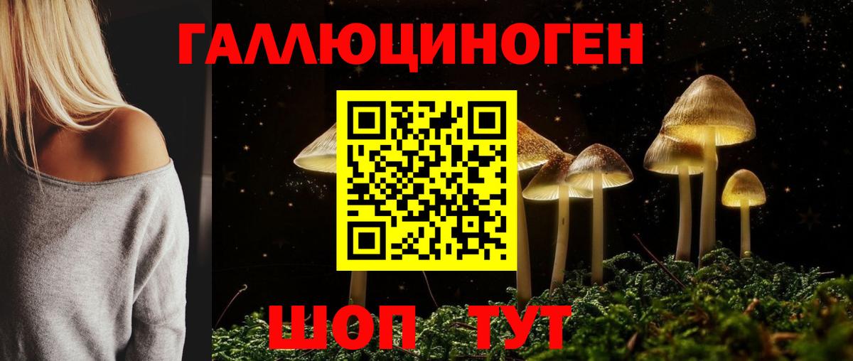 Саки  Галлюциногенные грибы мицелий  Вход с VPN  Псилоцибиновые грибы Psilocybe 