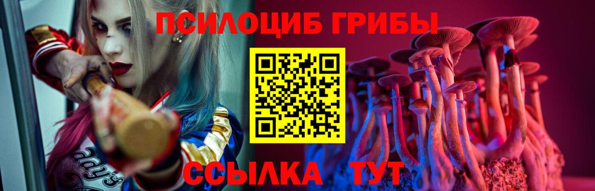 Псилоцибиновые грибы GOLDEN TEACHER Саки